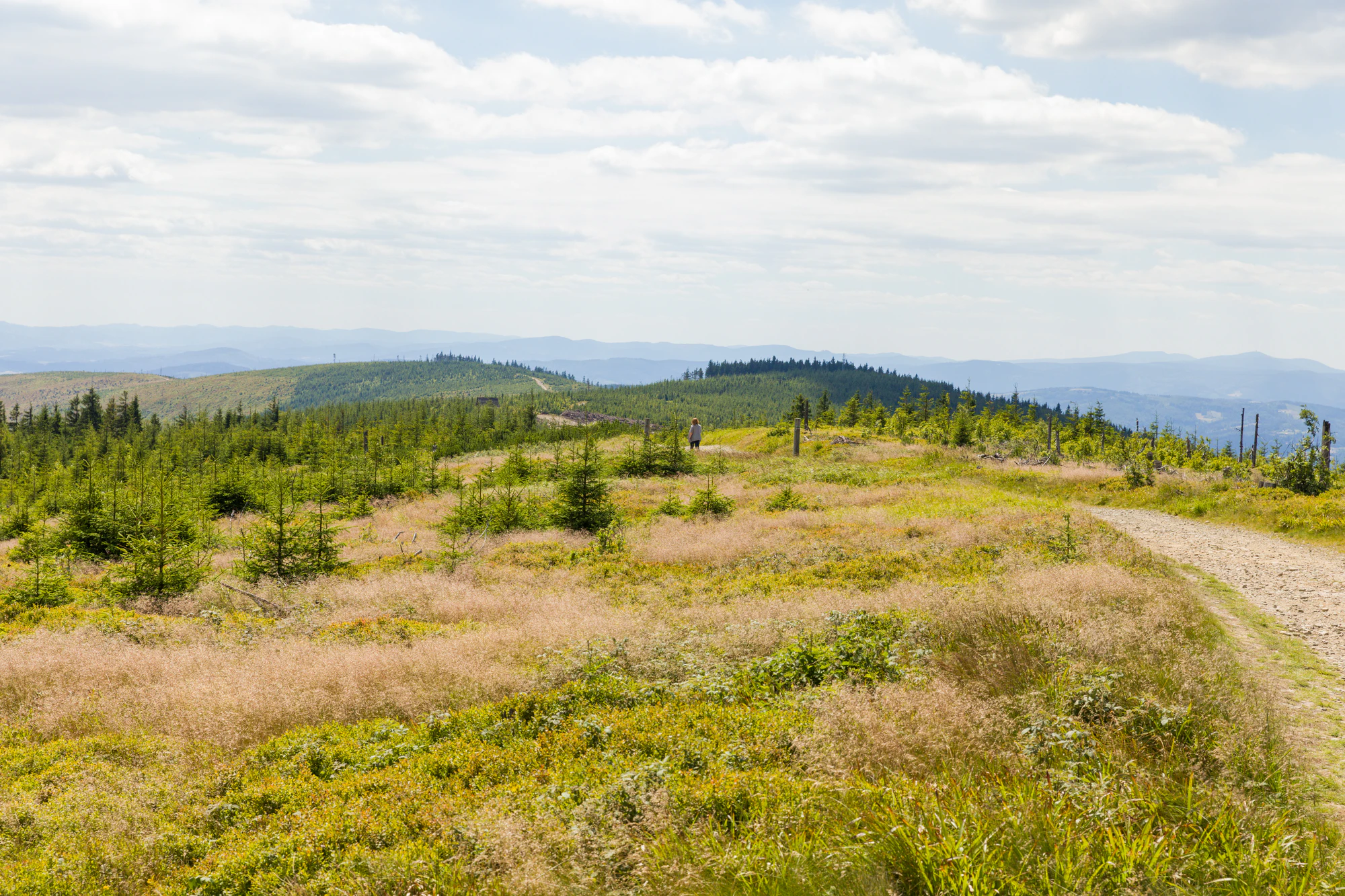 817 — Скачать