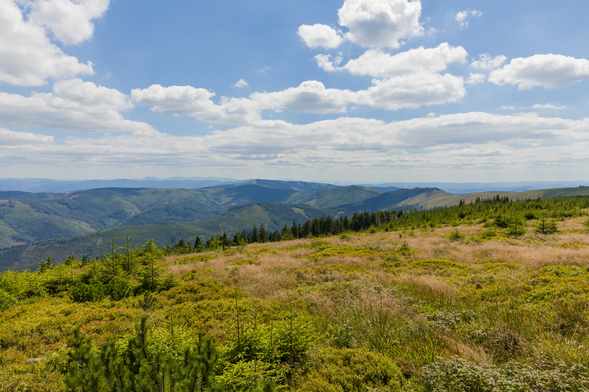 821 — Скачать