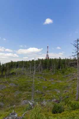 882 — Скачать