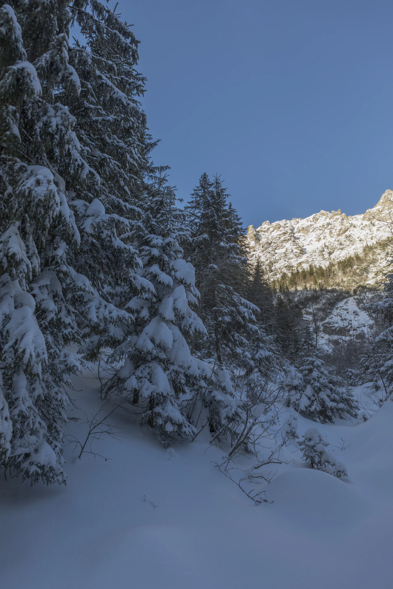 065 — Скачать