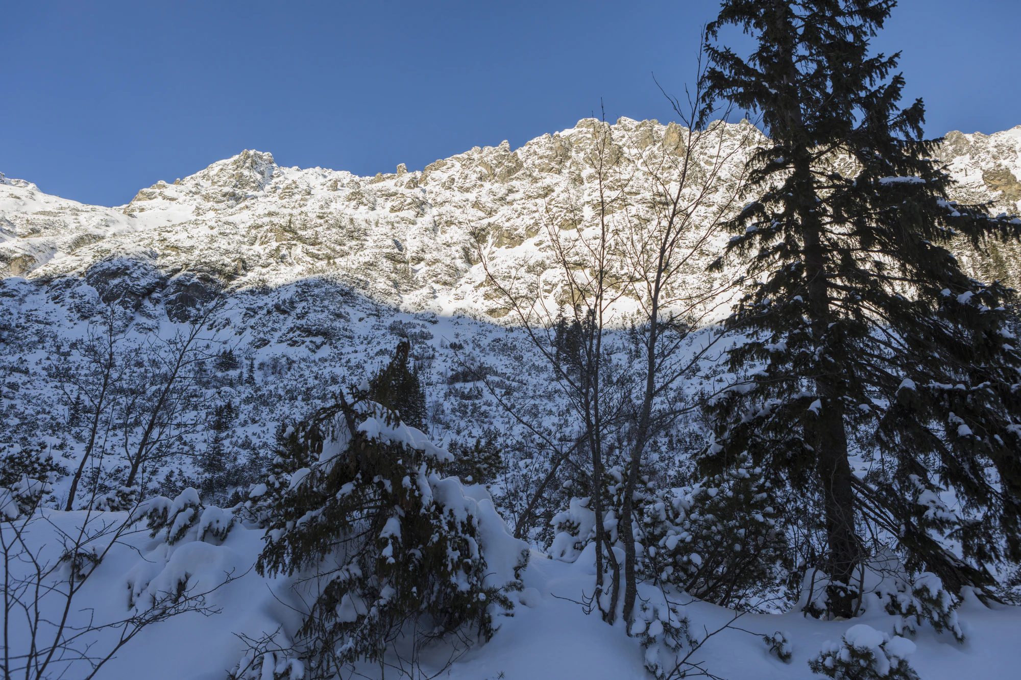 146 — Скачать