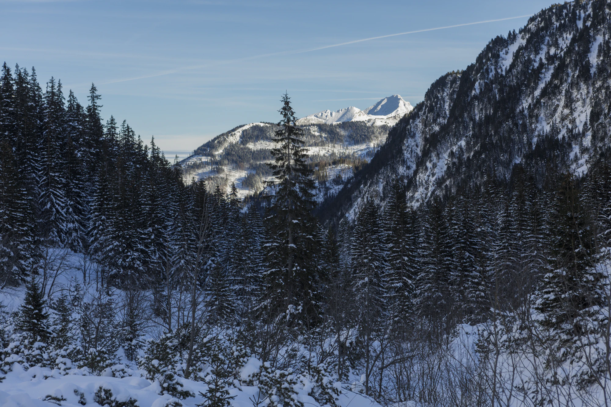 148 — Descargar