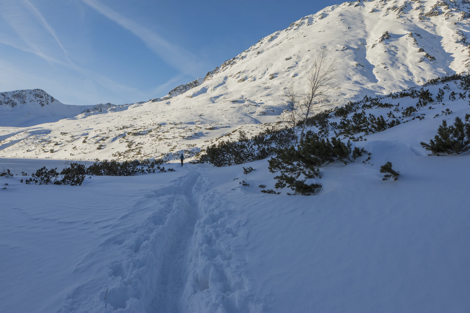 489 — Descargar