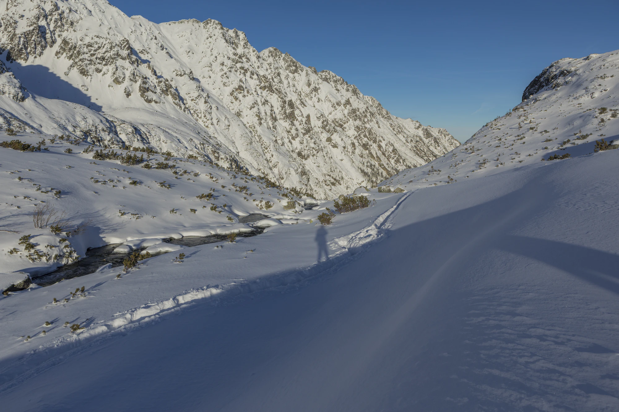 497 — Скачать