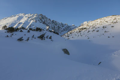 605 — Скачать