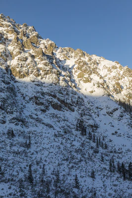 719 — Скачать