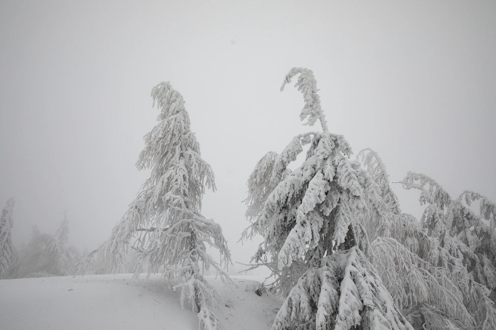 089 — Скачать