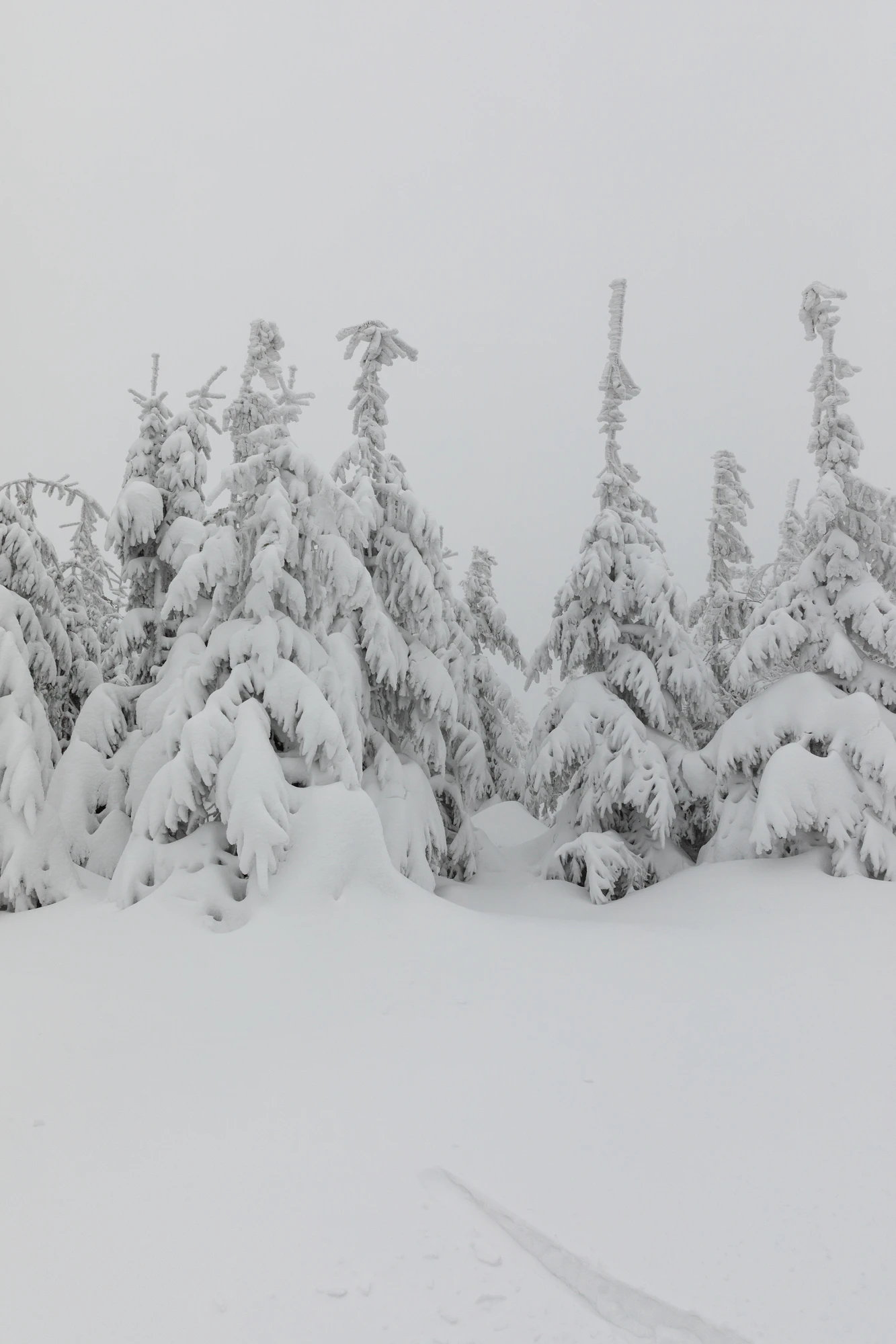 200 — Скачать