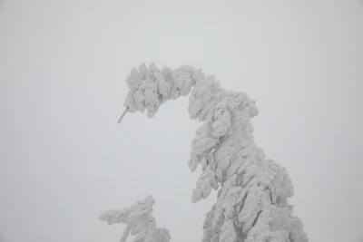 209 — Скачать