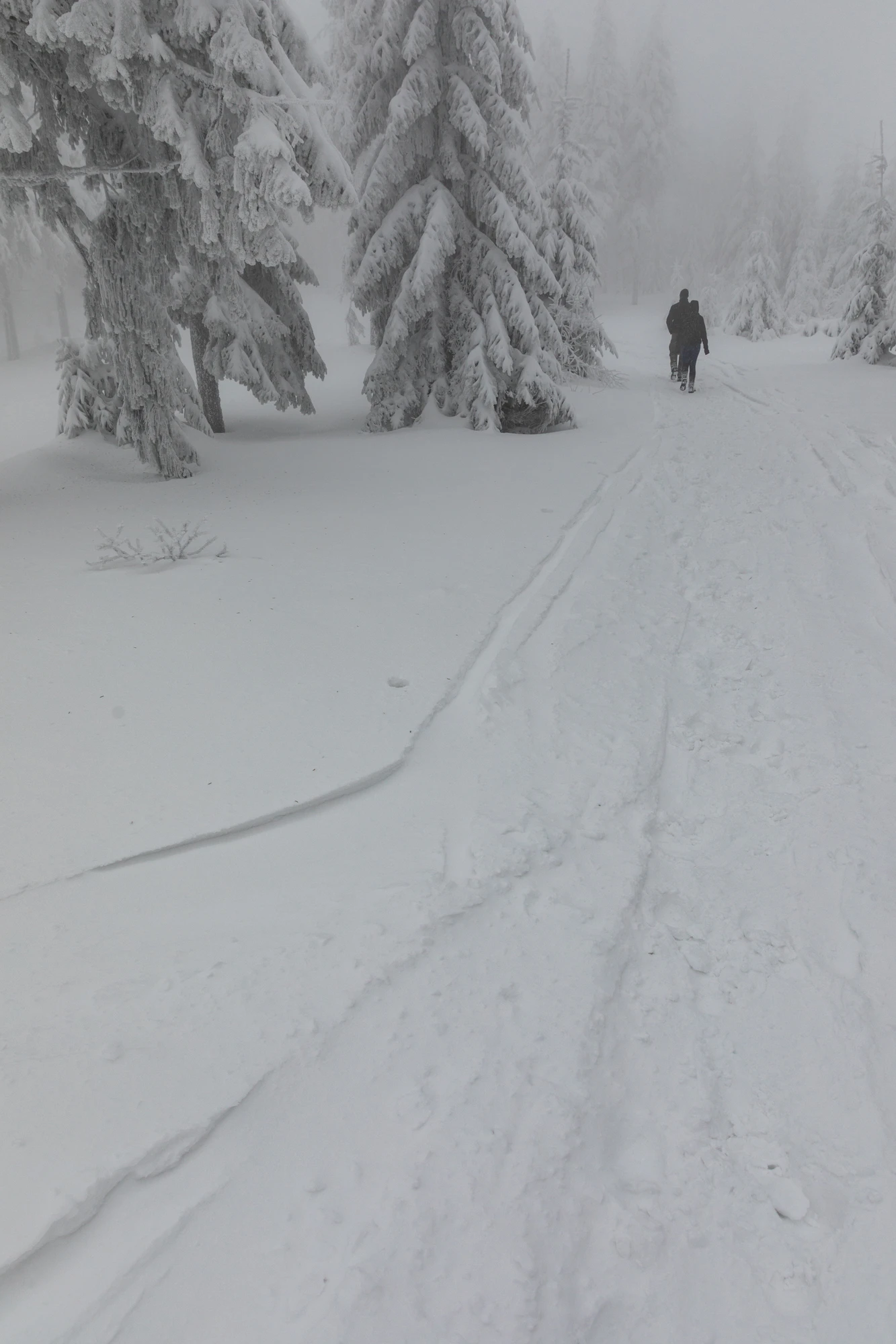 297 — Скачать