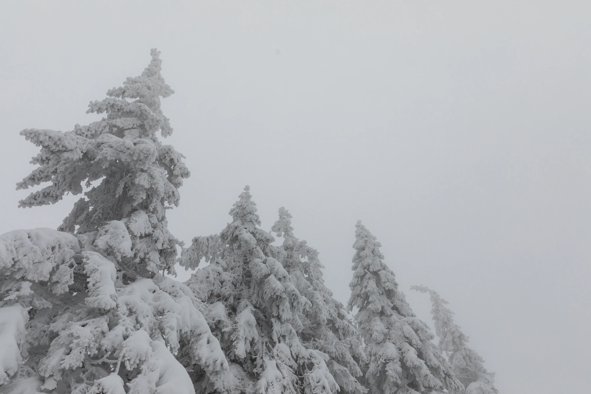 313 — Скачать
