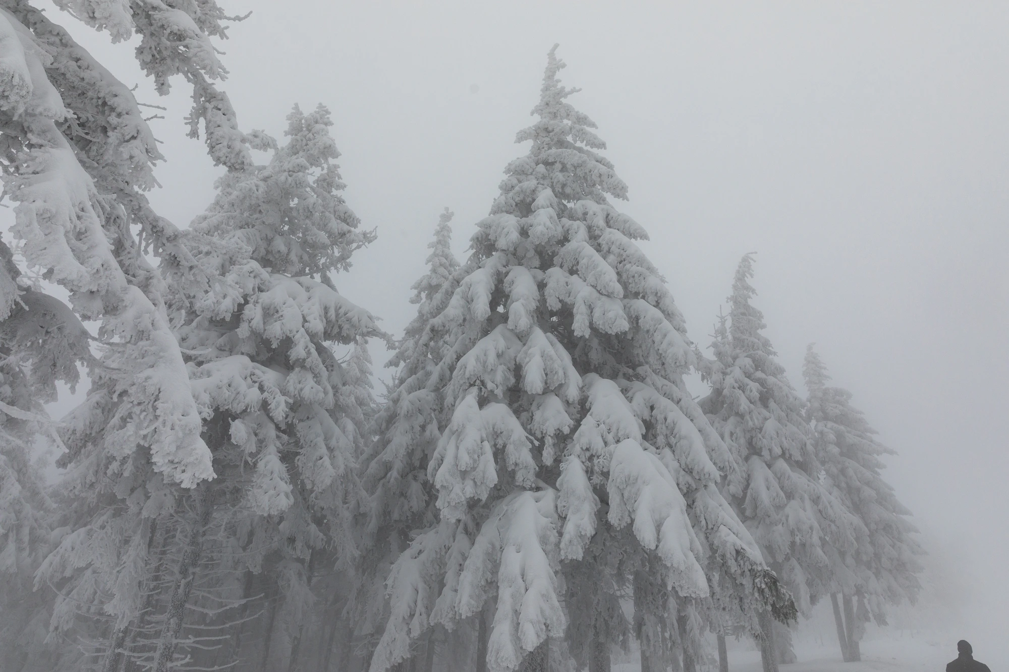 329 — Скачать