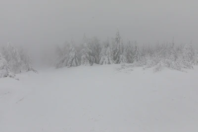 360 — Скачать