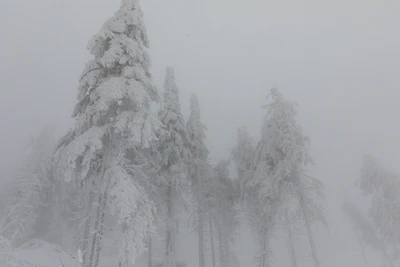 370 — Скачать