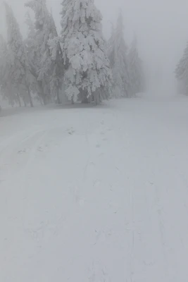 423 — Скачать