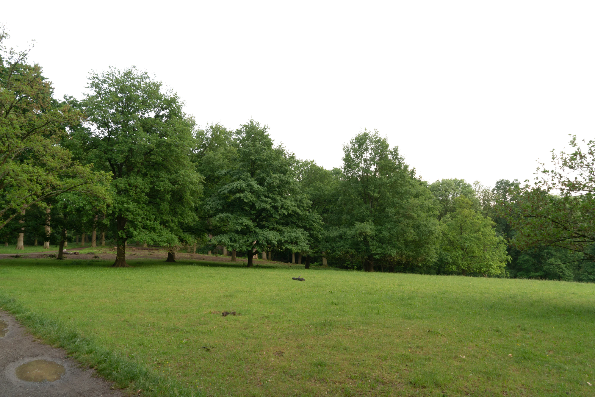 background 003 — Descargar