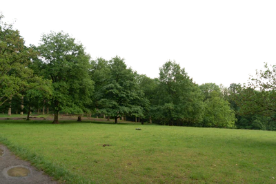 background 003 — Descargar