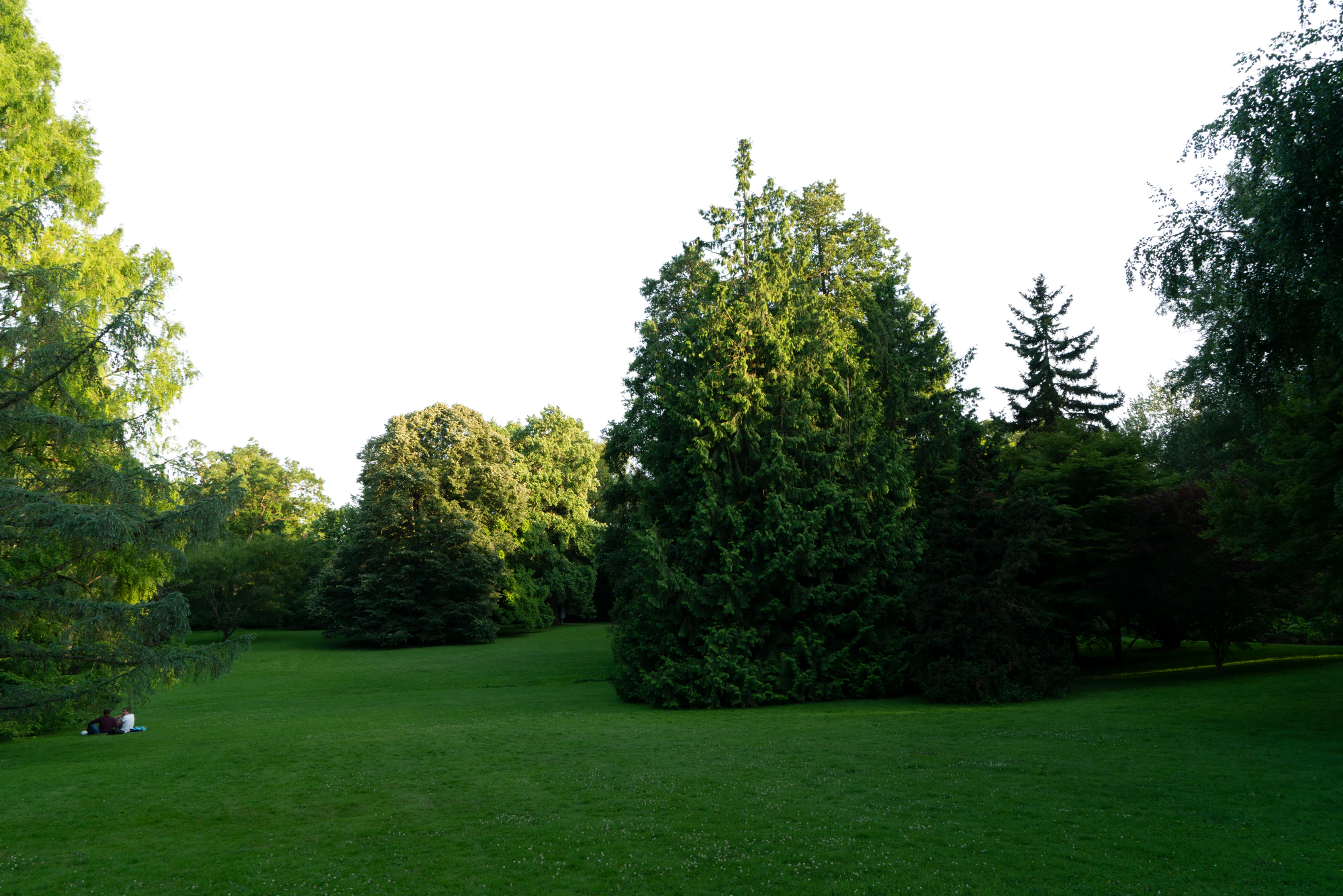 background 004 — Descargar