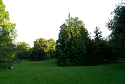 background 004 — Descargar