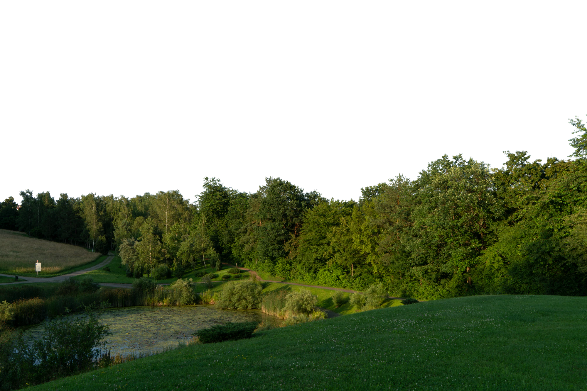 background 005 — Скачать