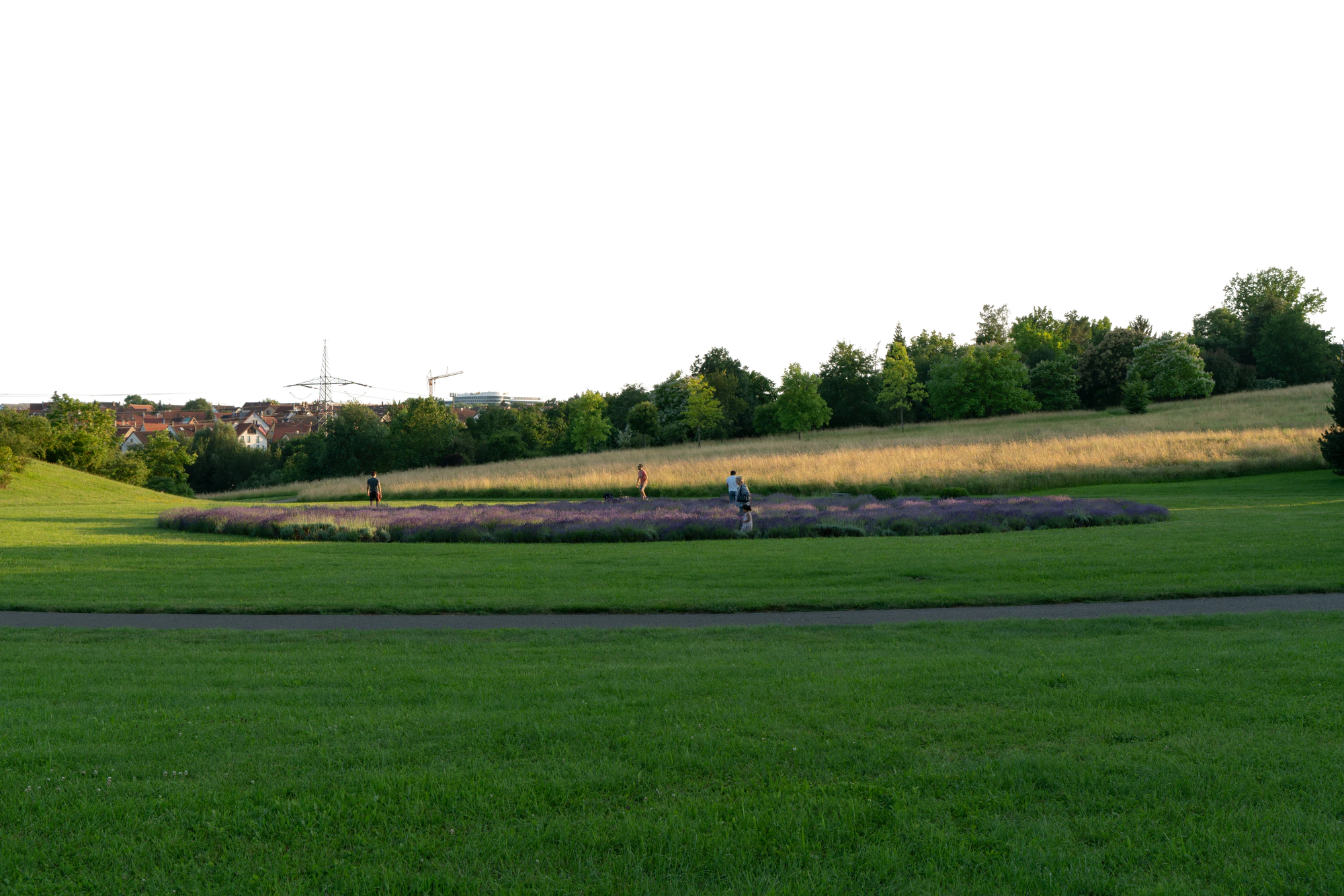 background 006 — Скачать