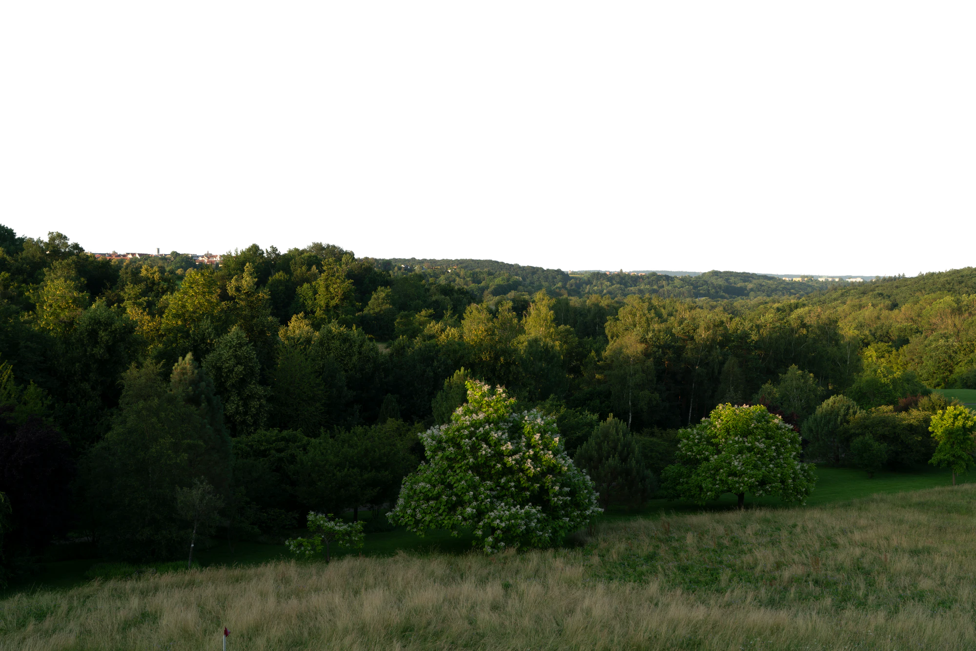 background 009 — Descargar