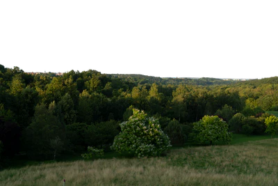 background 009 — Descargar