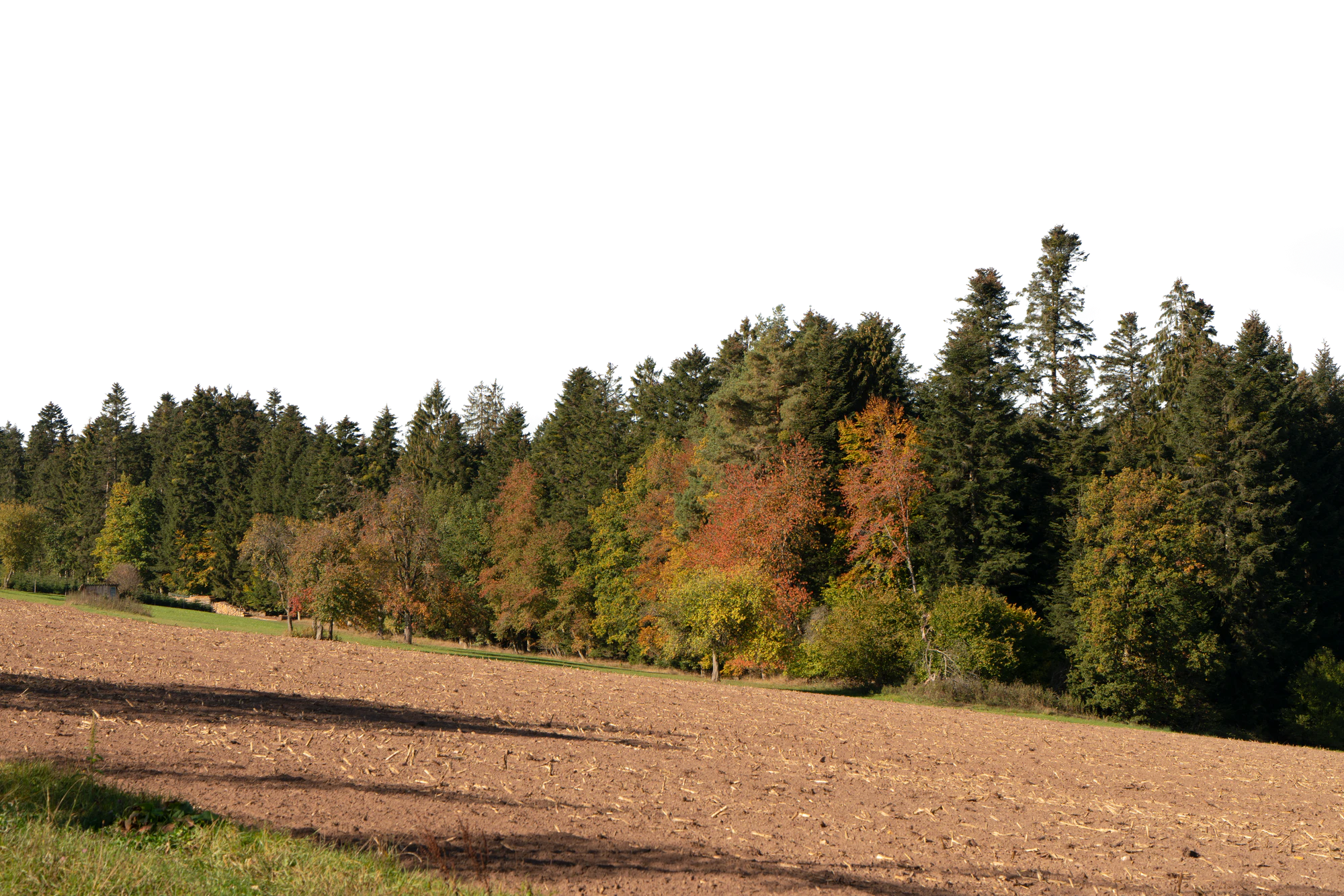background 012 — Скачать