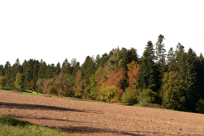 background 012 — Скачать