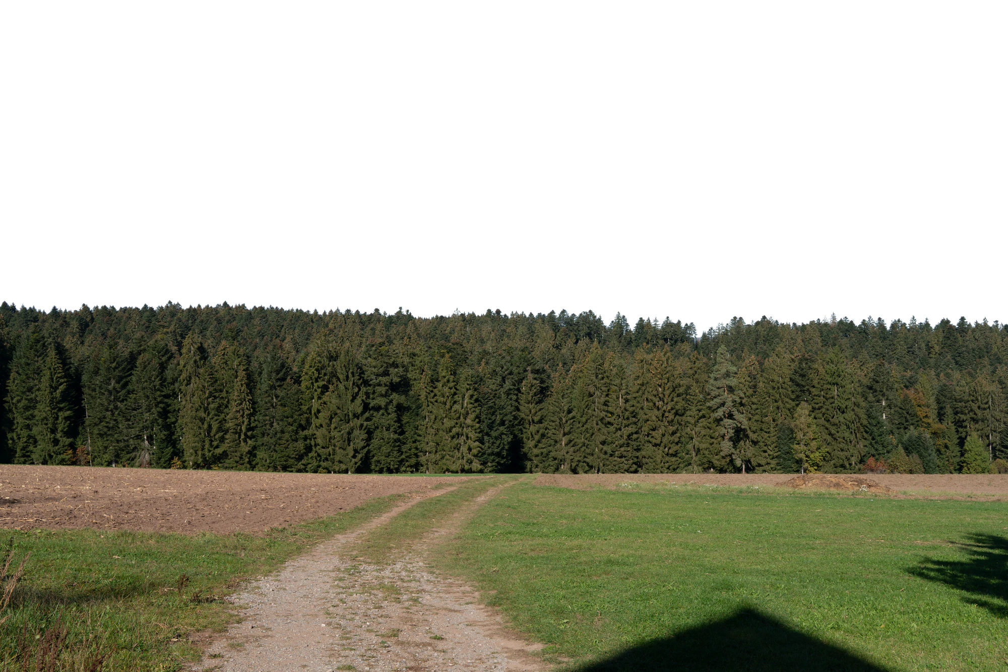 background 013 — Descargar