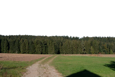 background 013 — Descargar