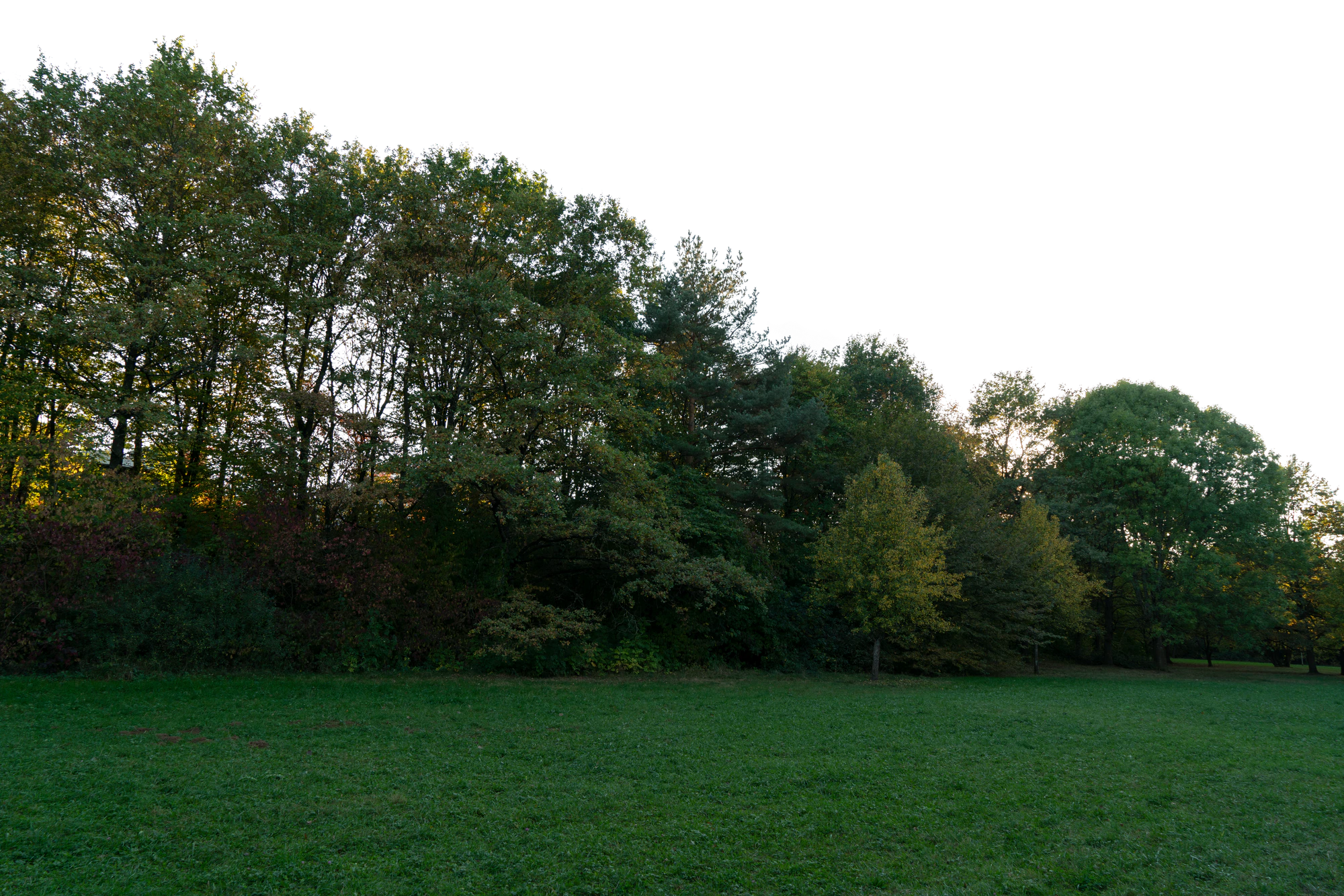 background 017 — Скачать