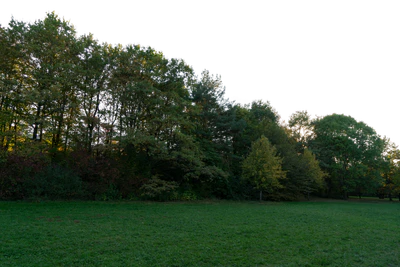 background 017 — Скачать