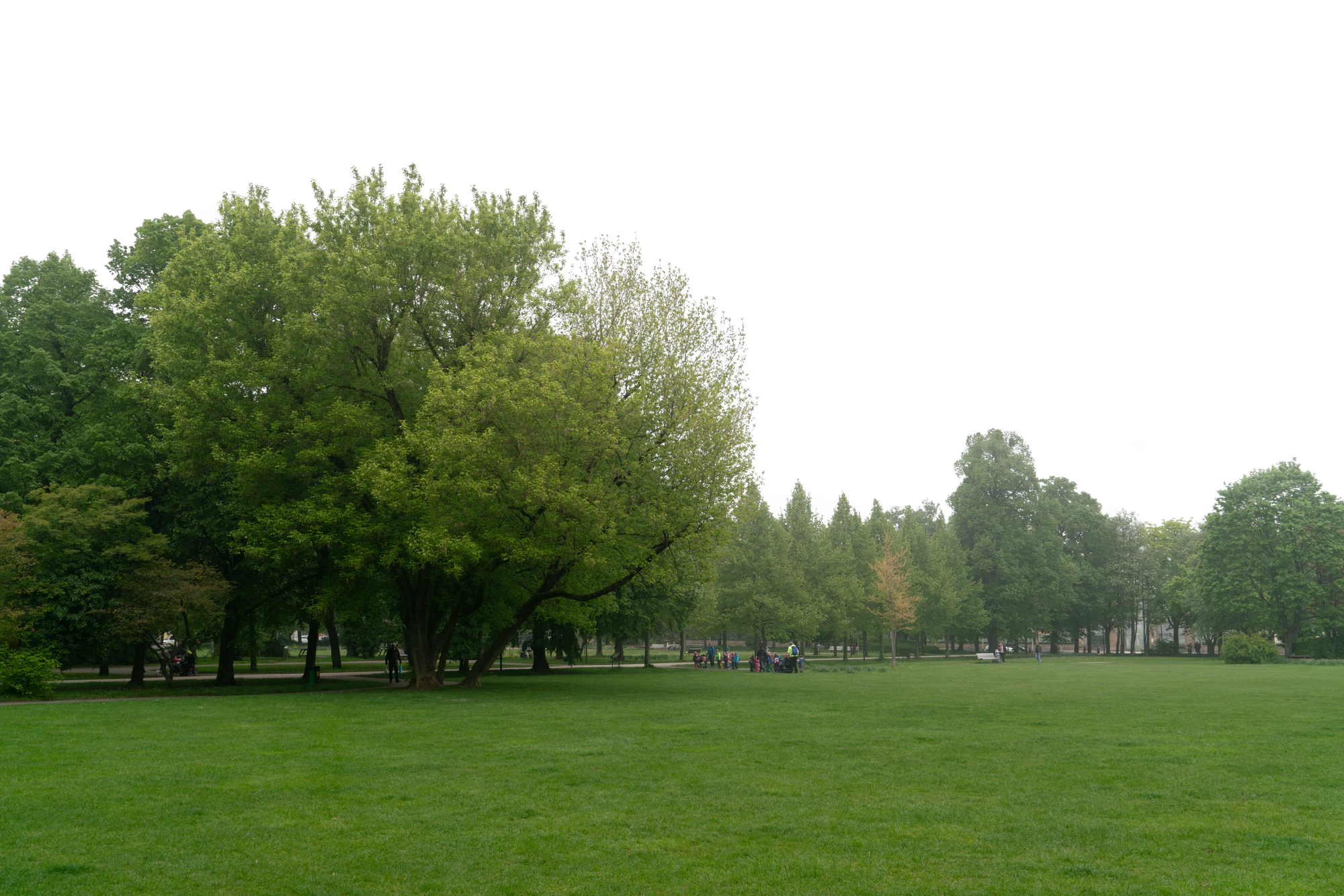 background 019 — Descargar