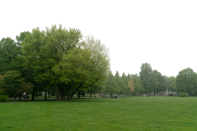 background 019 — Descargar