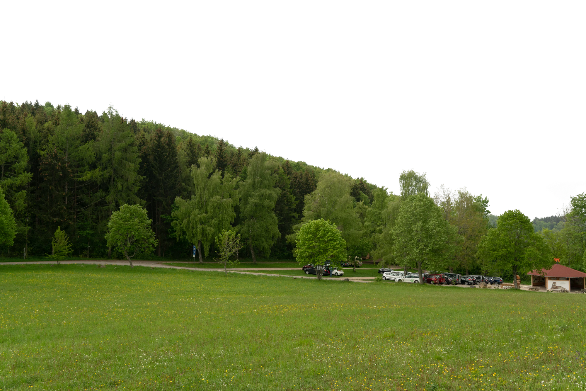 background 020 — Скачать