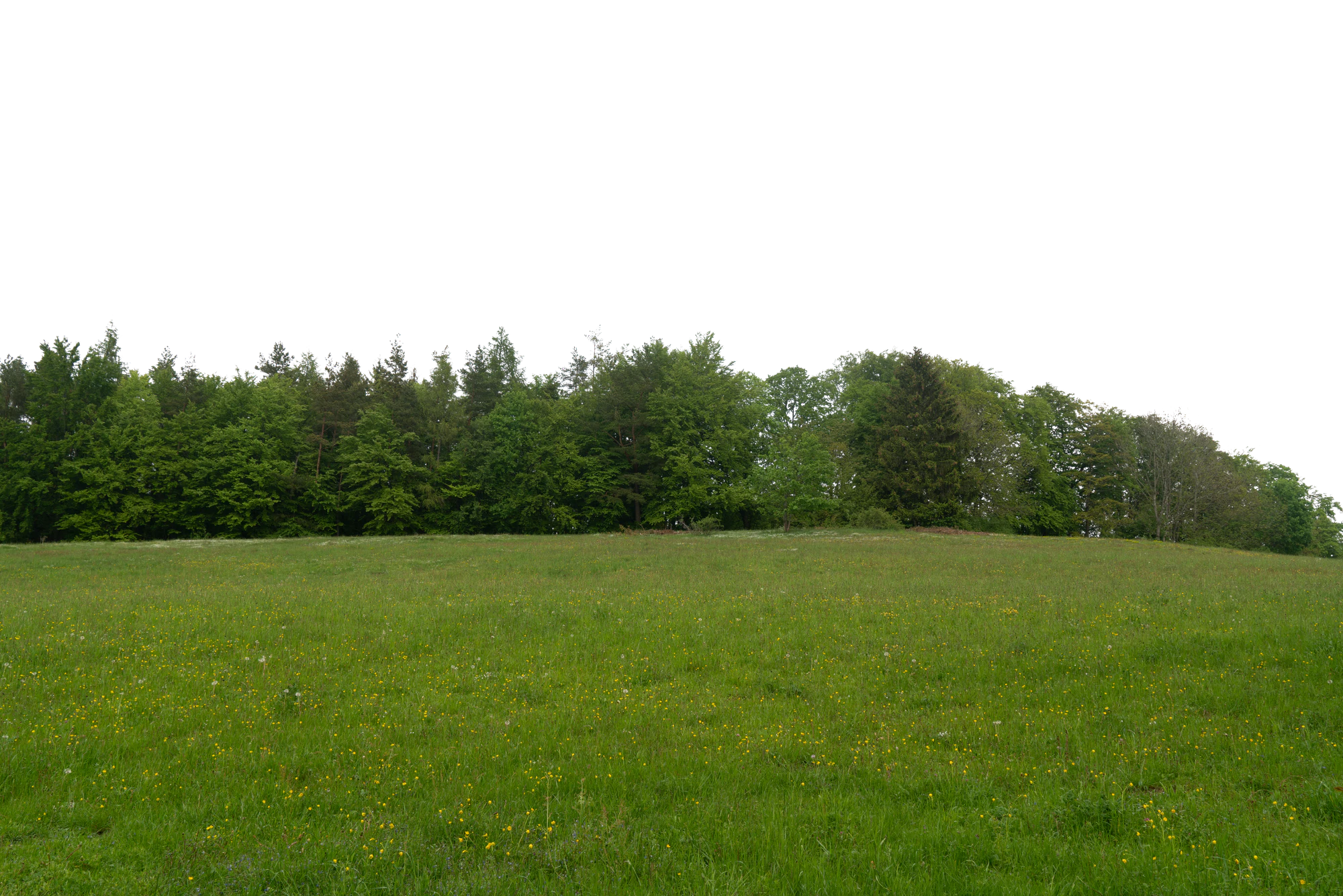 background 021 — Скачать