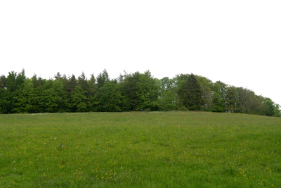 background 021 — download