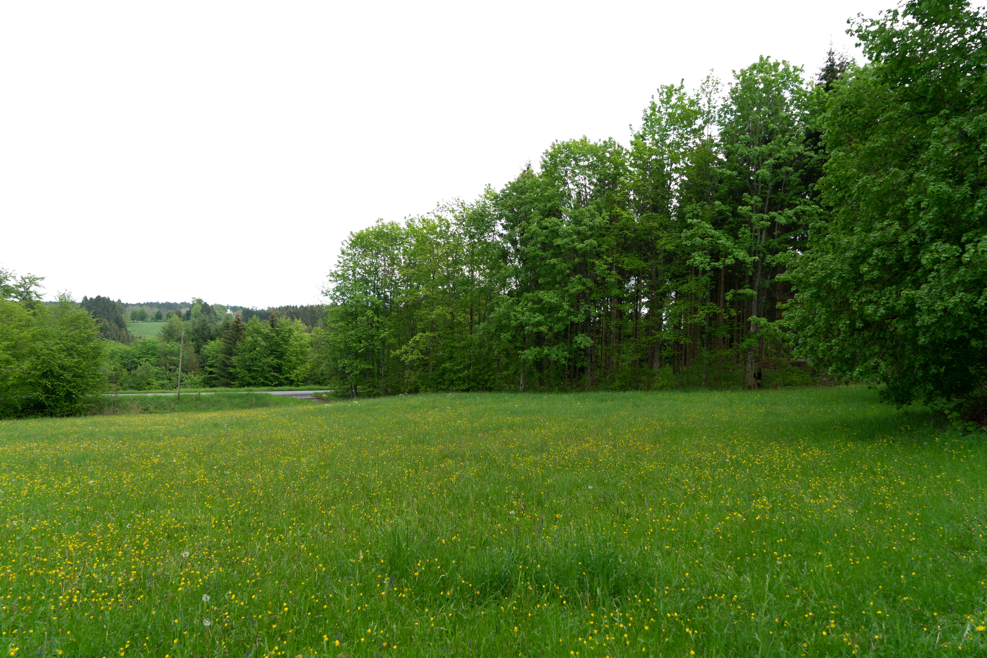 background 022 — Скачать