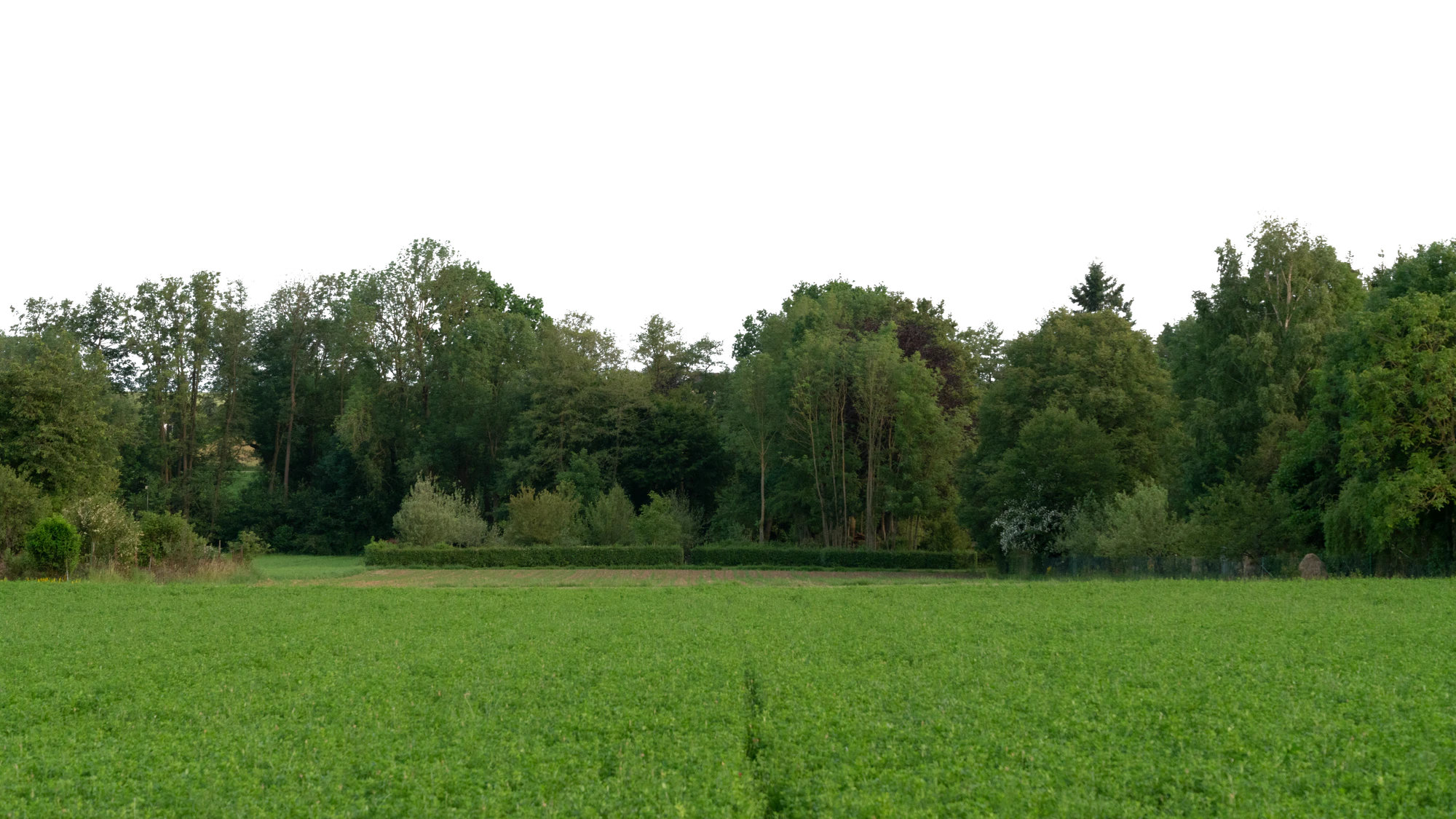 background 024 — Скачать