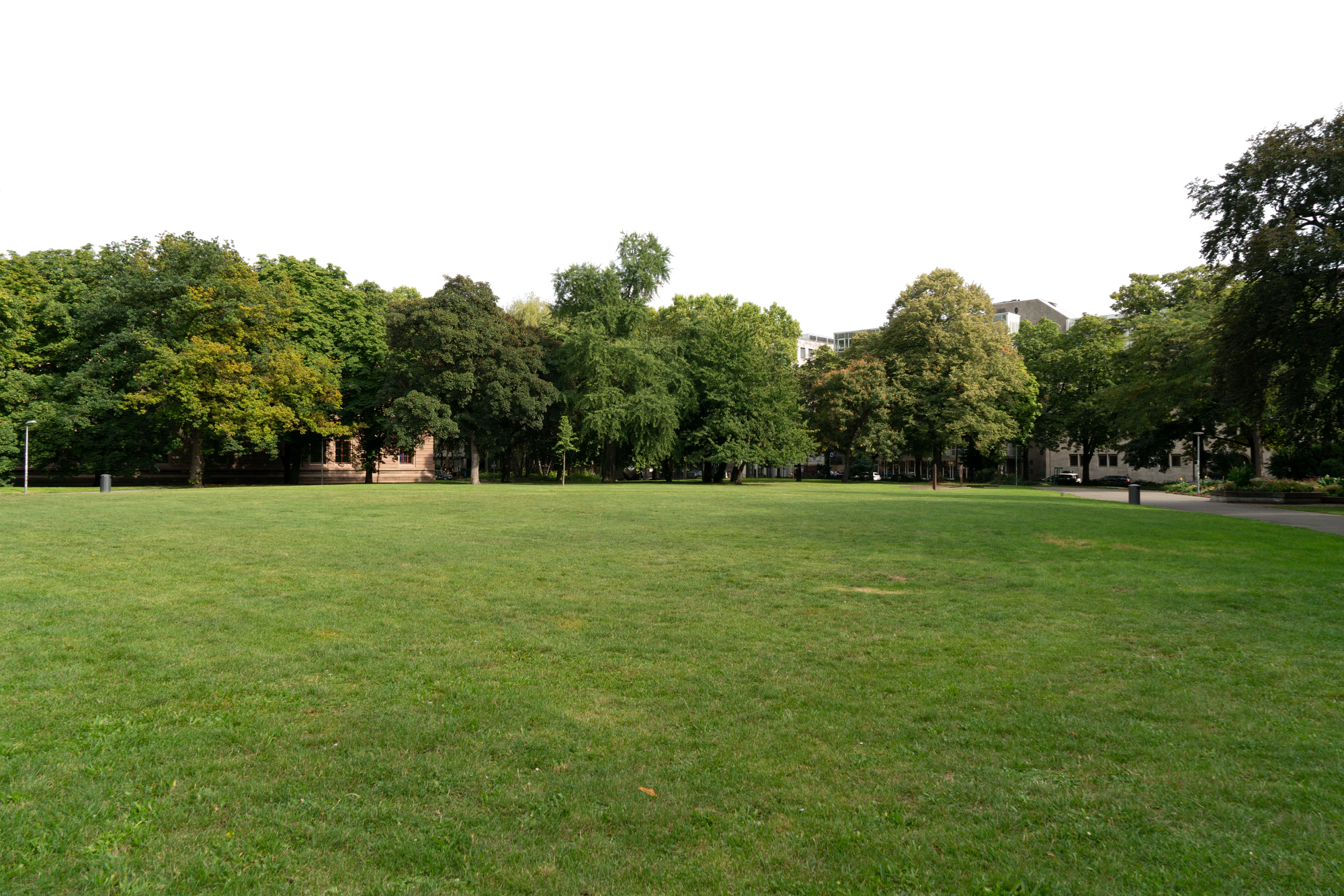 background 025 — Скачать