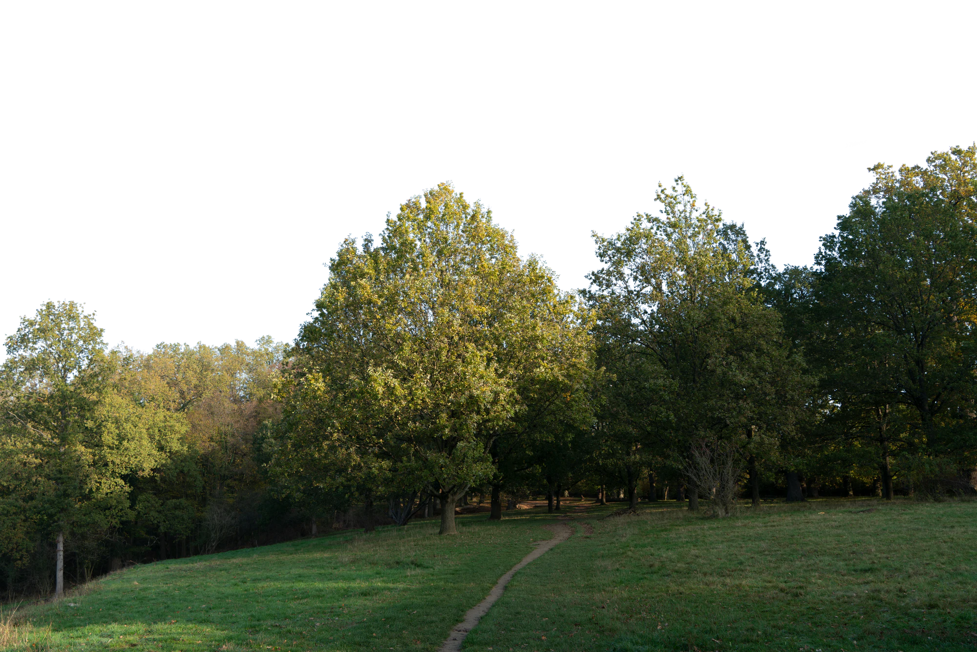 background 026 — Descargar