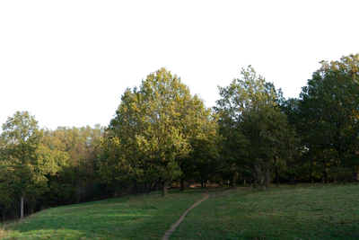background 026 — Descargar
