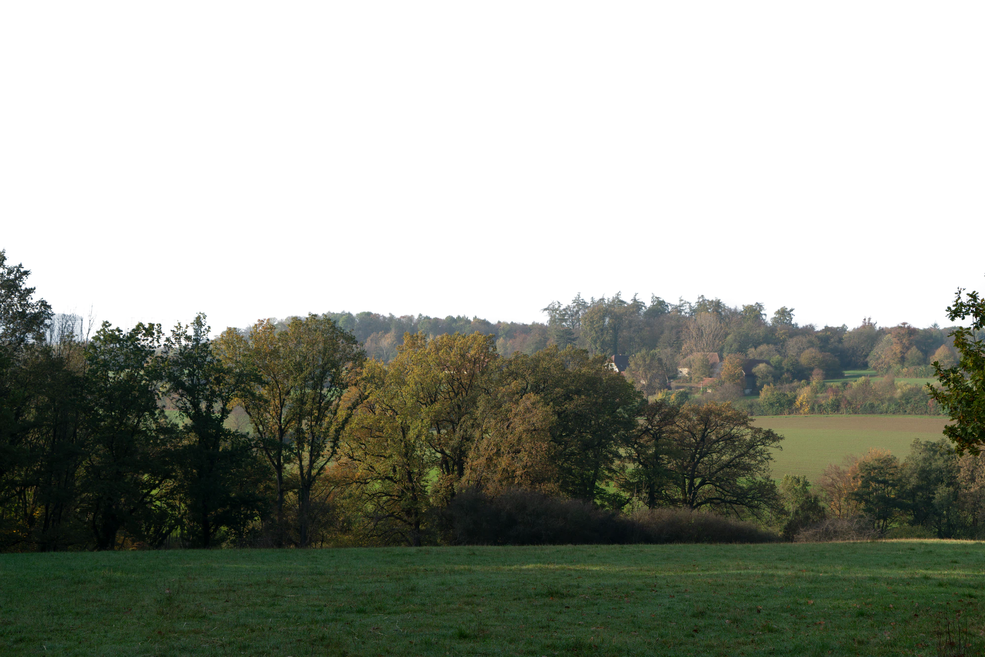 background 027 — Descargar