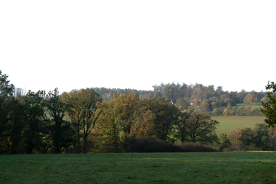 background 027 — Descargar