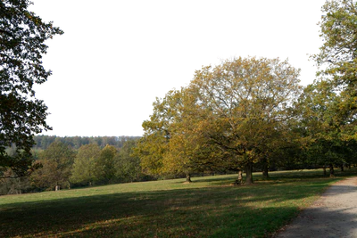 background 028 — Descargar