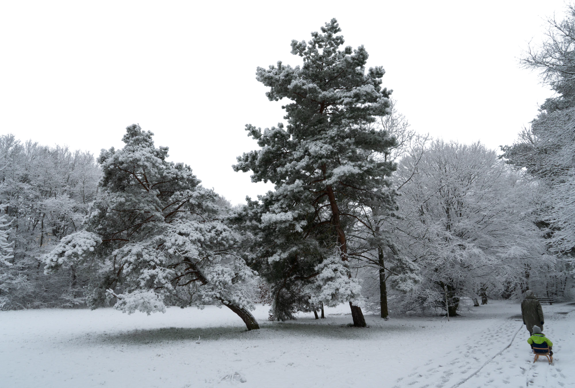 background 029 — Descargar