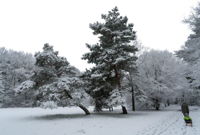 background 029 — Descargar
