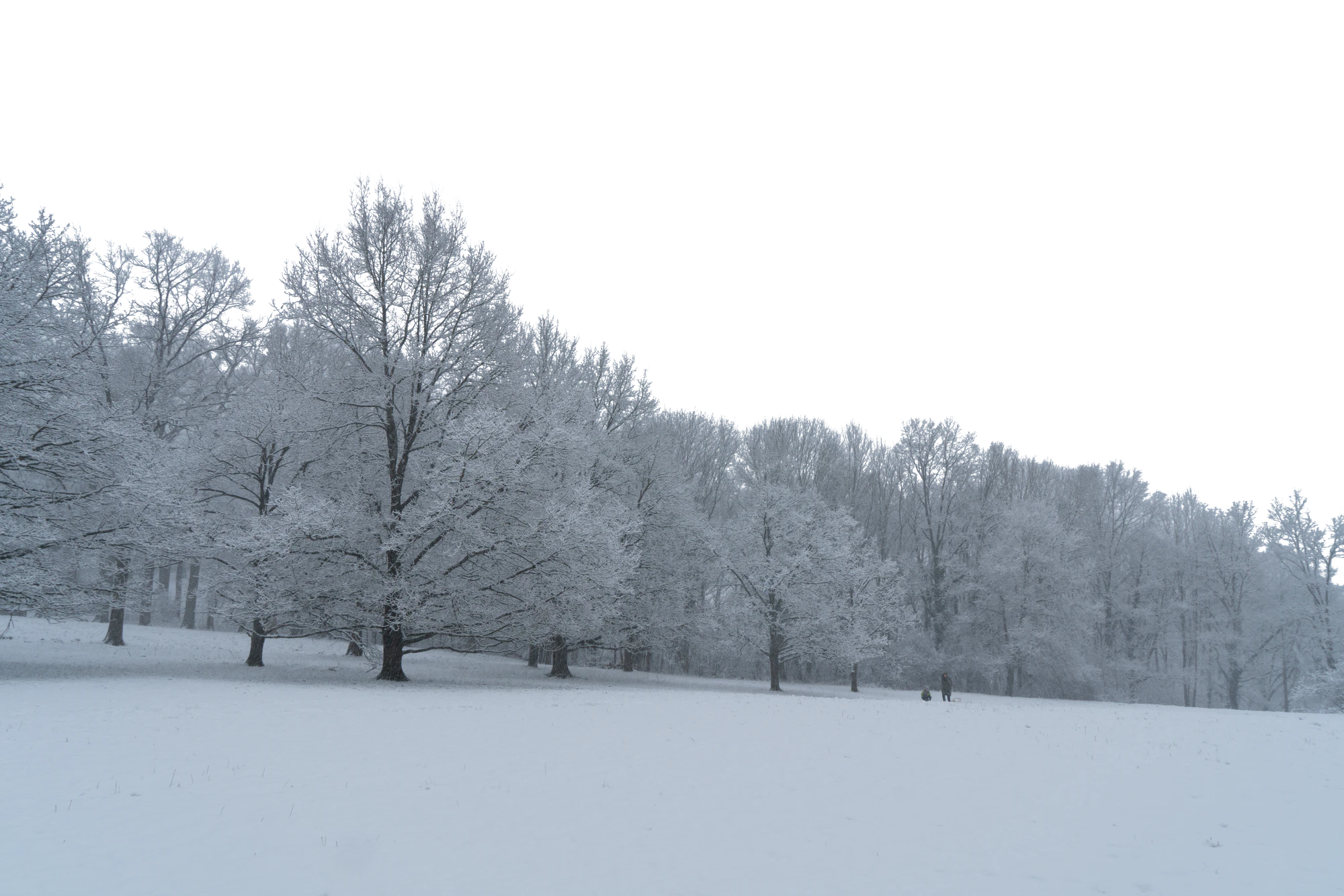 background 030 — Скачать