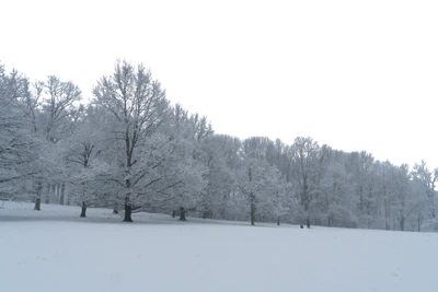 background 030 — Скачать